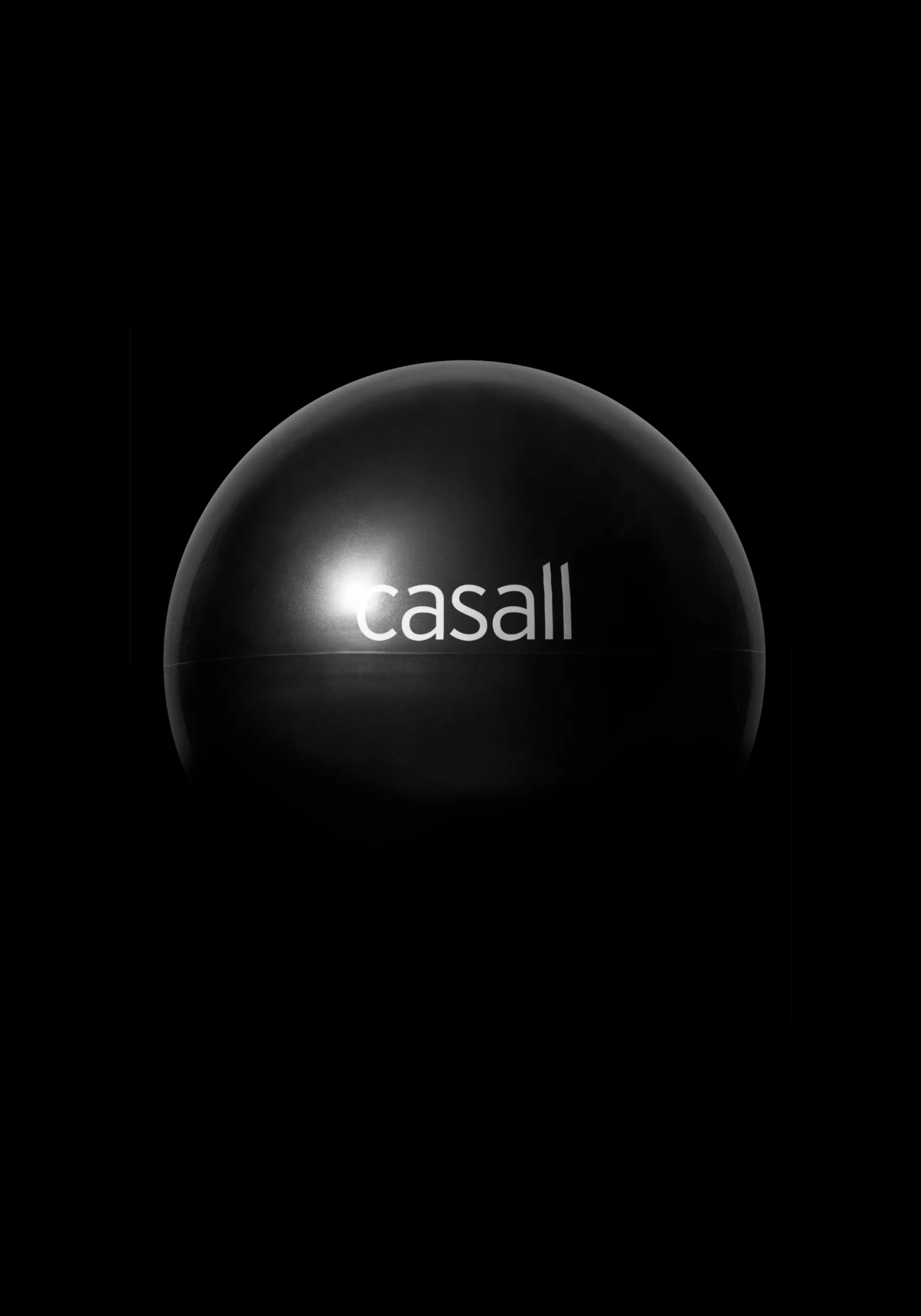 Flash Sale Casall Exercise Ball 18cm 1kg - Black
